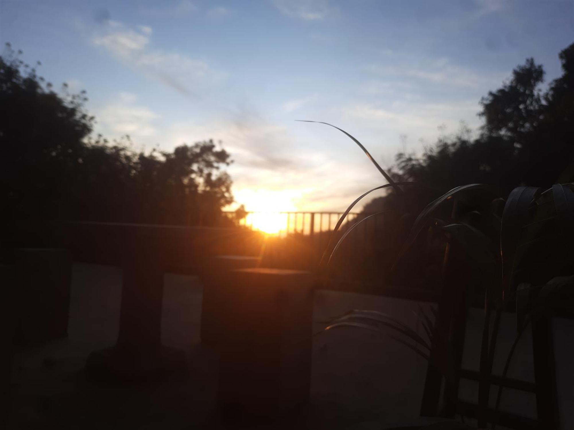 Solace אלה מראה חיצוני תמונה